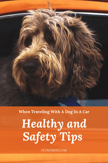 health and safety tips for traveling in the car with your dog