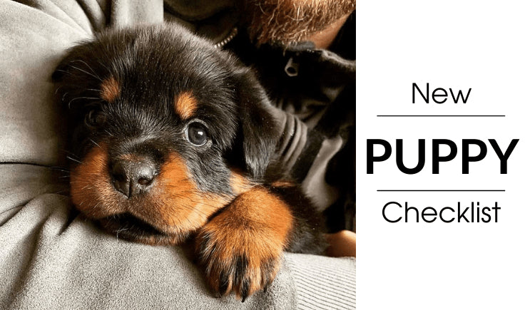 new puppy checklist essentials basics