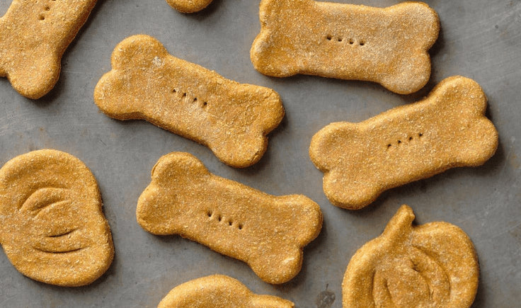 pumpkin oatmeal dog treats recipe