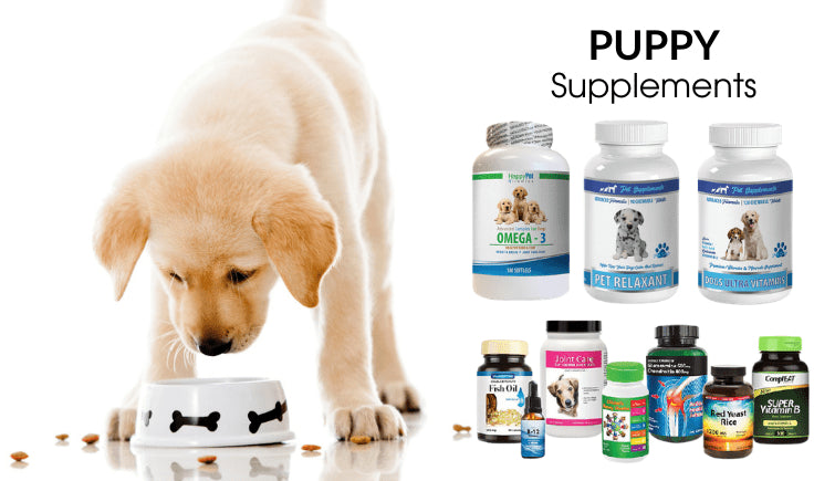 puppy supplements