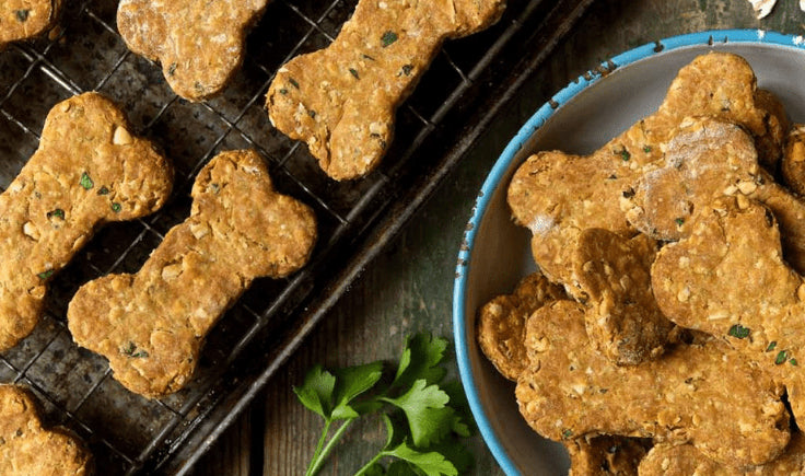 spinach carrot and zucchini homemade dog treats