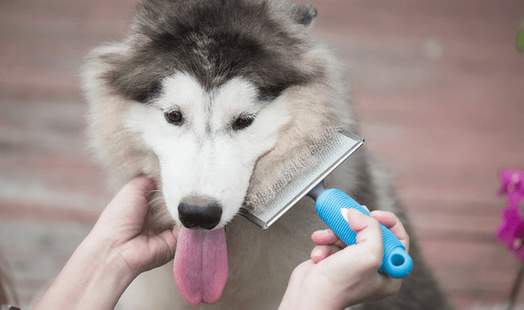 use a wire brush