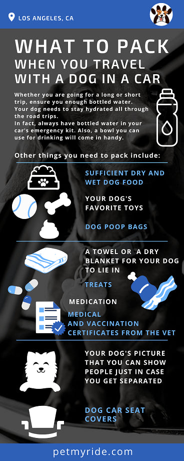 what to pack if you travel with your dog in a car