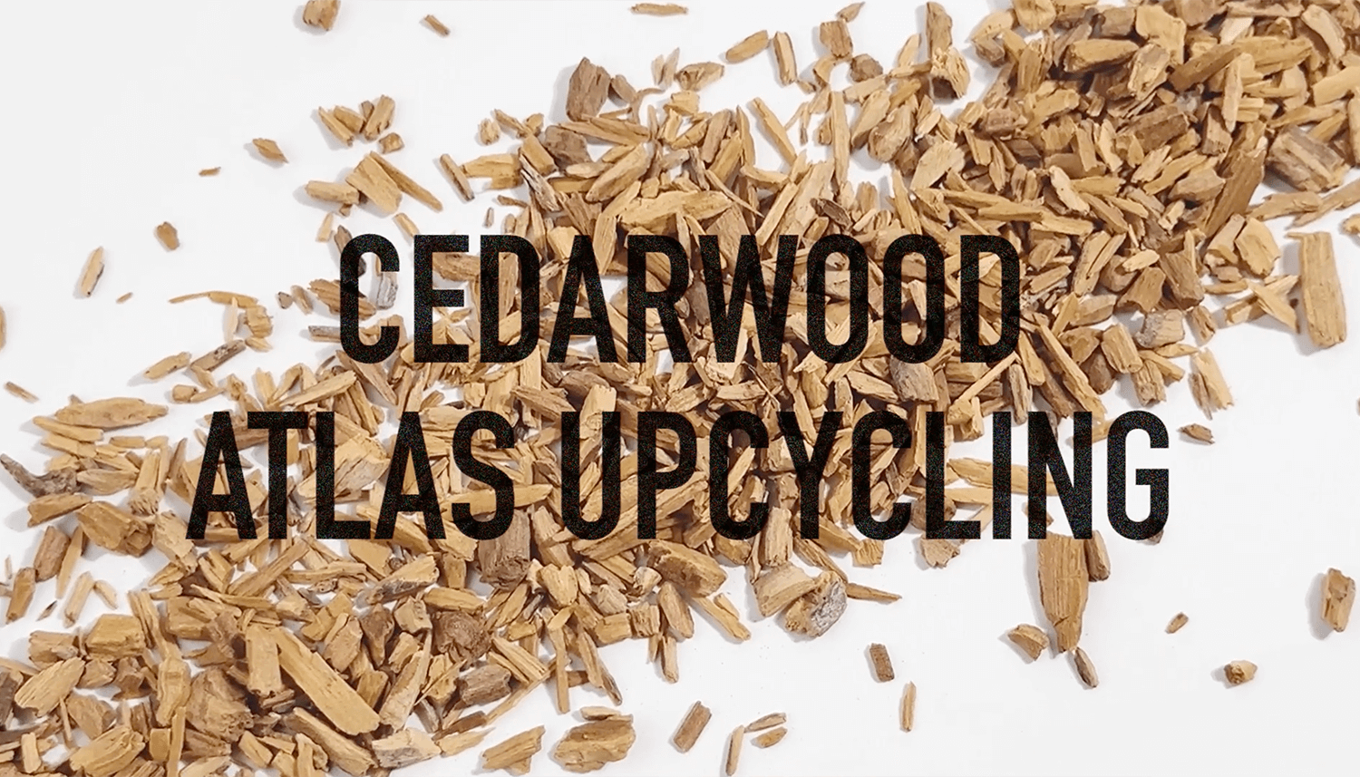 Cedarwood.png__PID:1a33d1bc-61bc-43bf-b949-9532f42c7c68