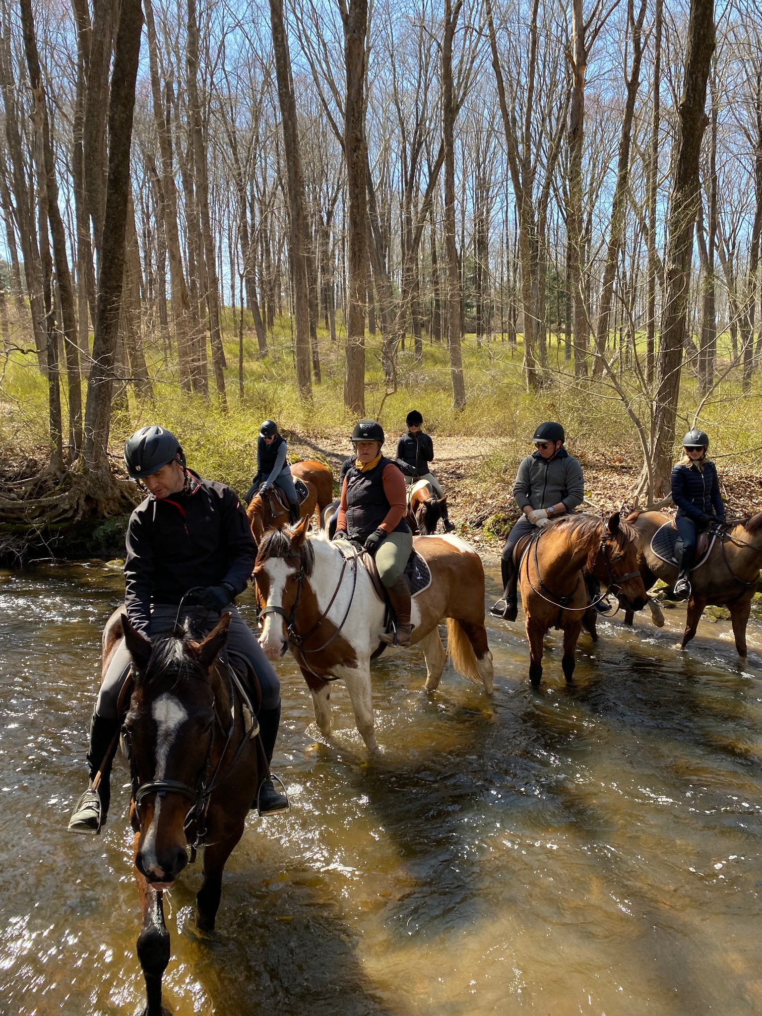 Horseback Ride