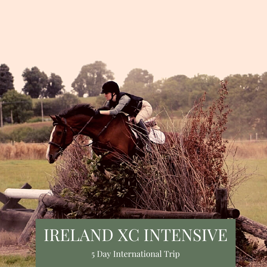 Horse jumping in Ireland