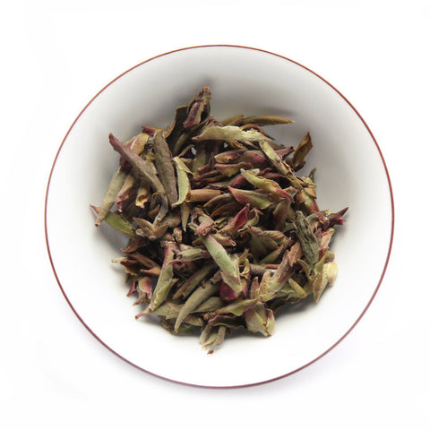 Yunnan Wild Tea Buds White Tea | Plantation by teakha