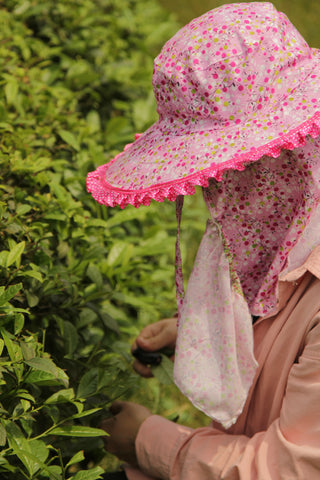 Wuyishan Rock Tea Farm - Plantation by teakha