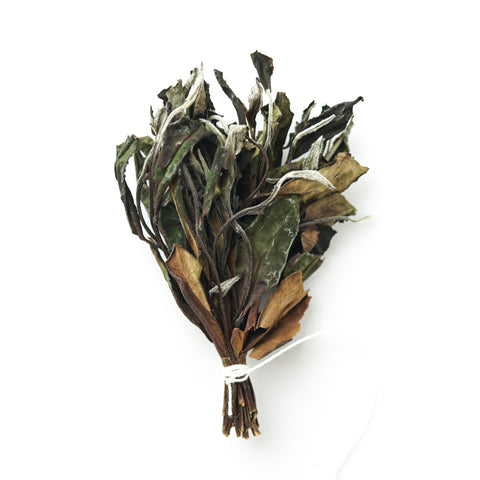 Forest Wild Broom Tea White Tea | Plantation by teakha