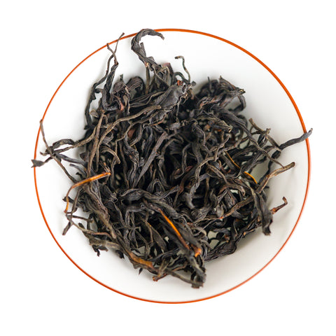 Wild Gushu Black Tea | Plantation by teakha