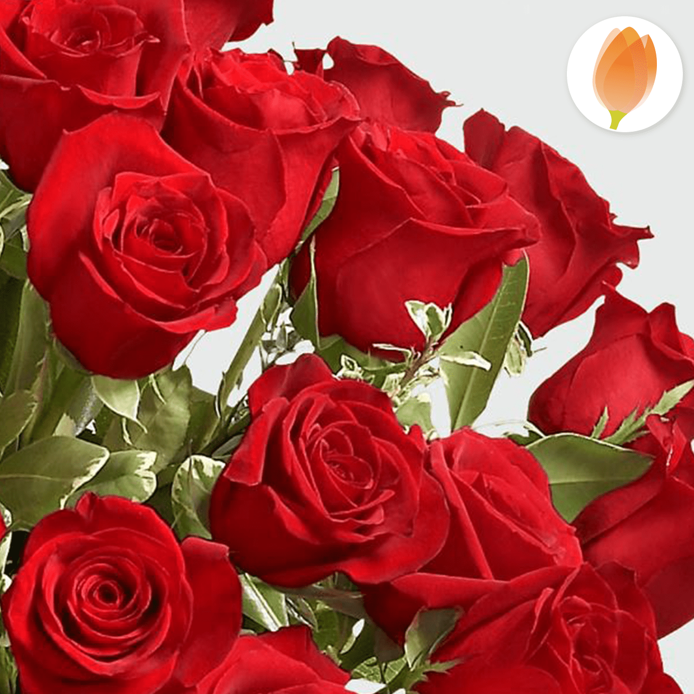 Bouquet Rosas Rojas Luxury x48