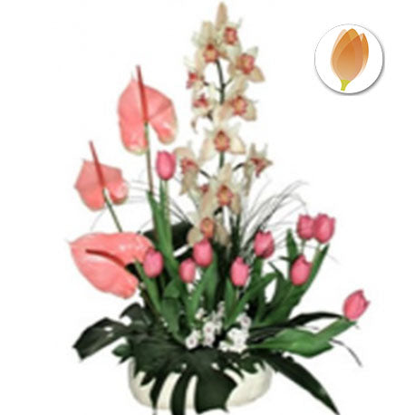 orquideas y tulipanes - Bogotá