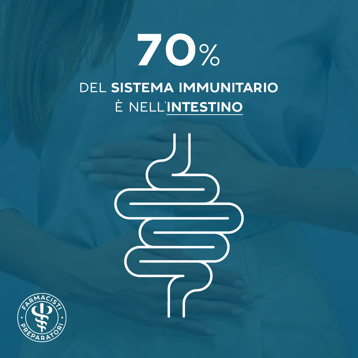 intestino e sistema immunitario