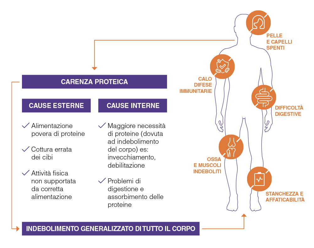 carenza proteica