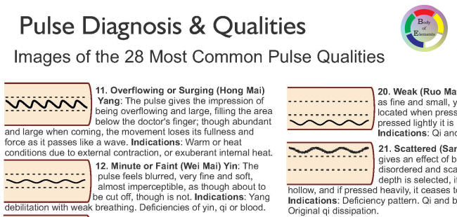 Pulse Diagnosis Qualities