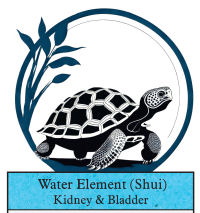 Water Element