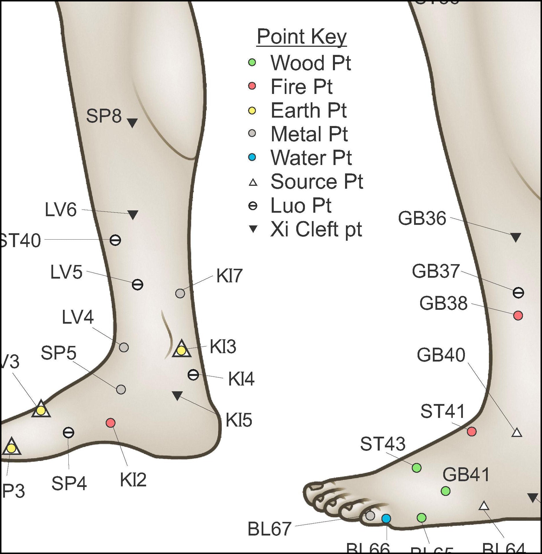 Five Elements Of Acupuncture Points Poster Body Of Elements