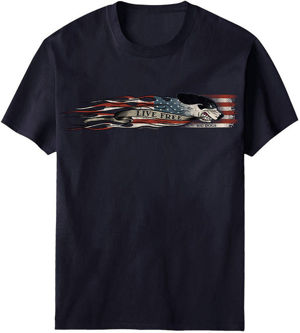 Tropical Stars & Stripes Chest Stripe T-Shirt – Big Dogs