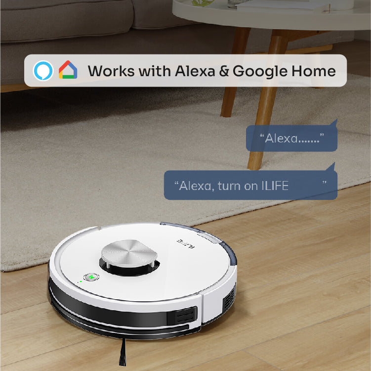 alexa and google home