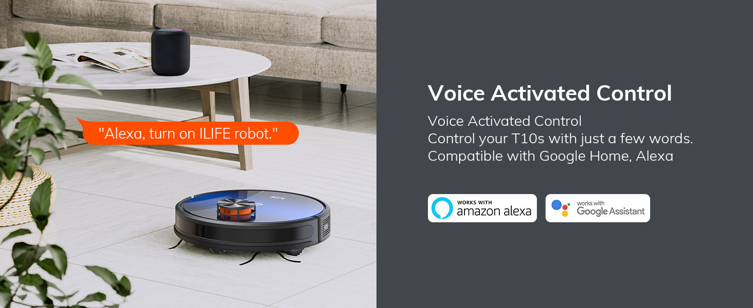 Voice activated control