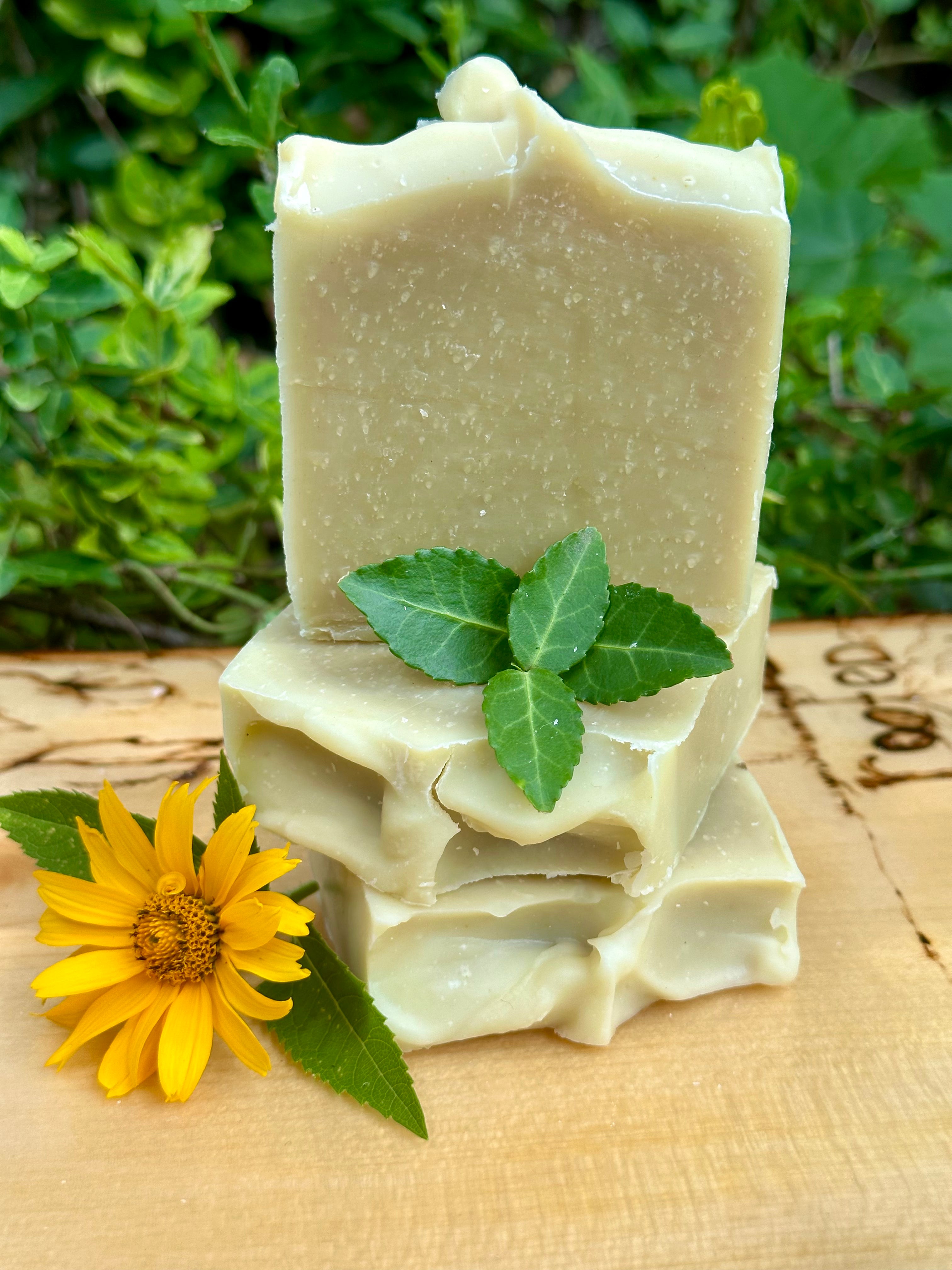 Shea Butter Moringa Soap