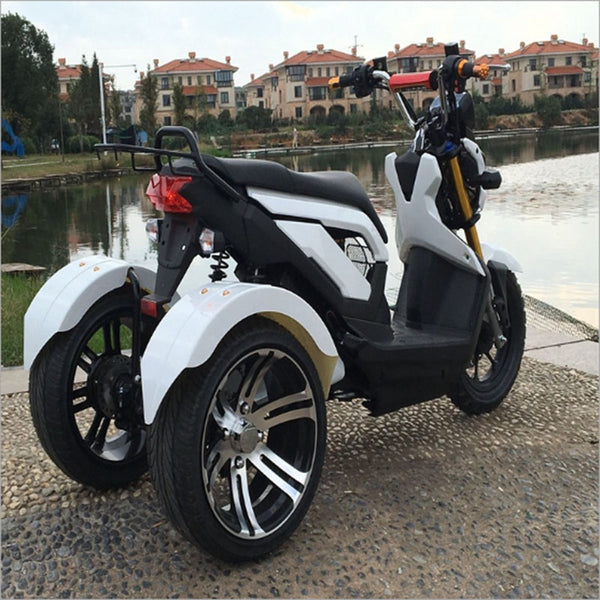 electric tricycle scooter