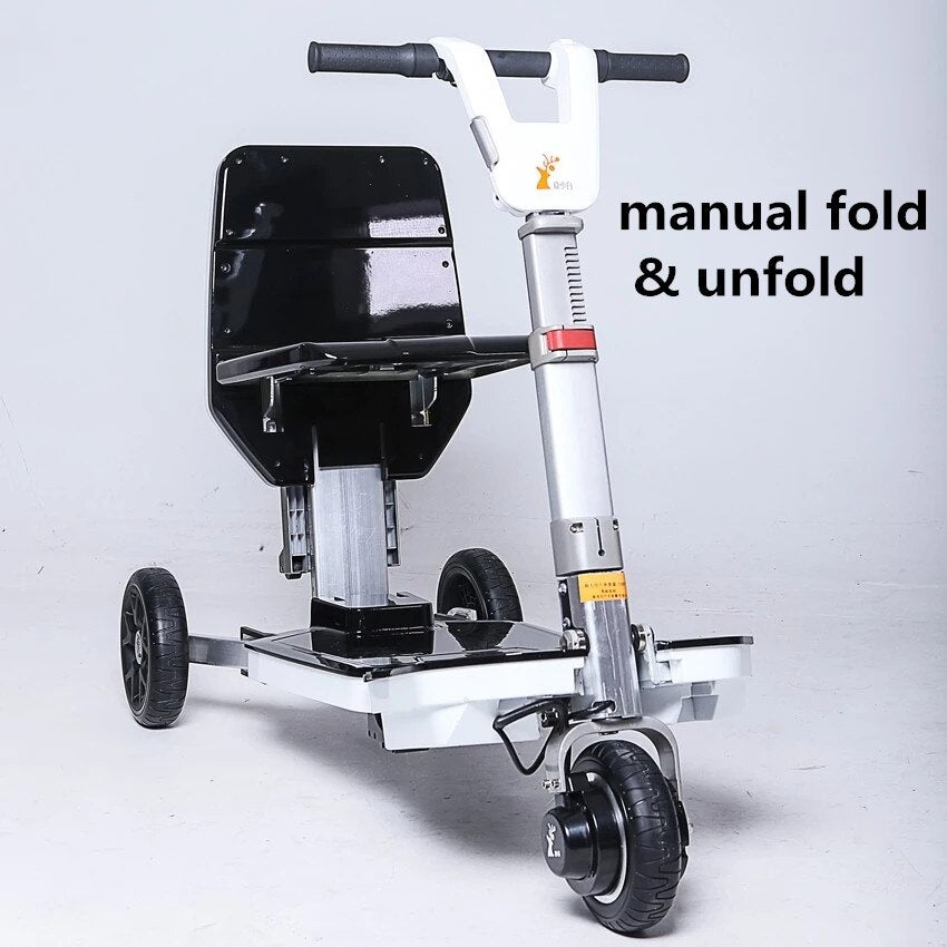 handicap mobility