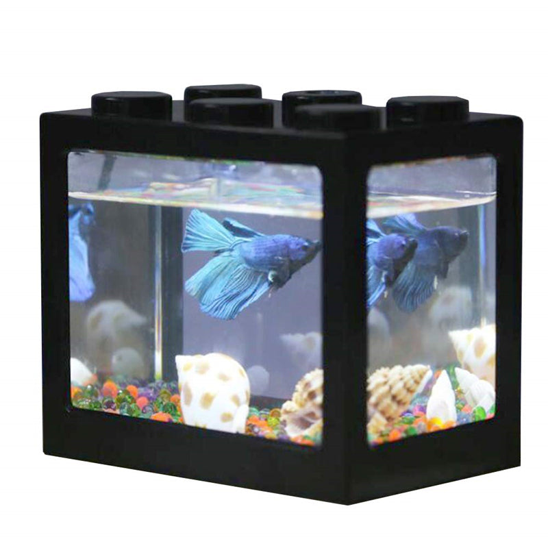 modern small fish tank betta