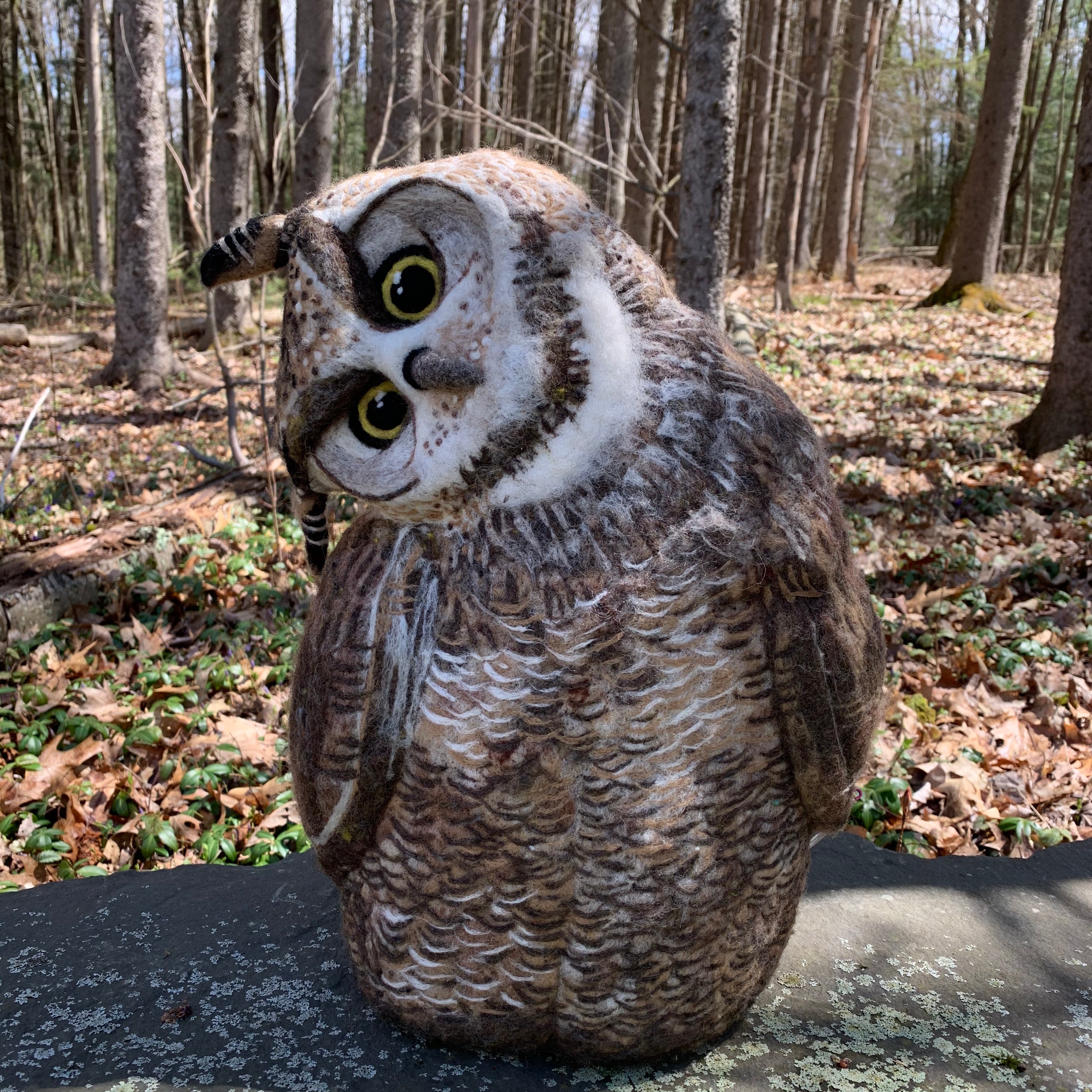 Great Horned Owl – Going Gnome