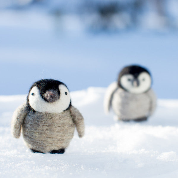 Baby Penguins Kit Going Gnome