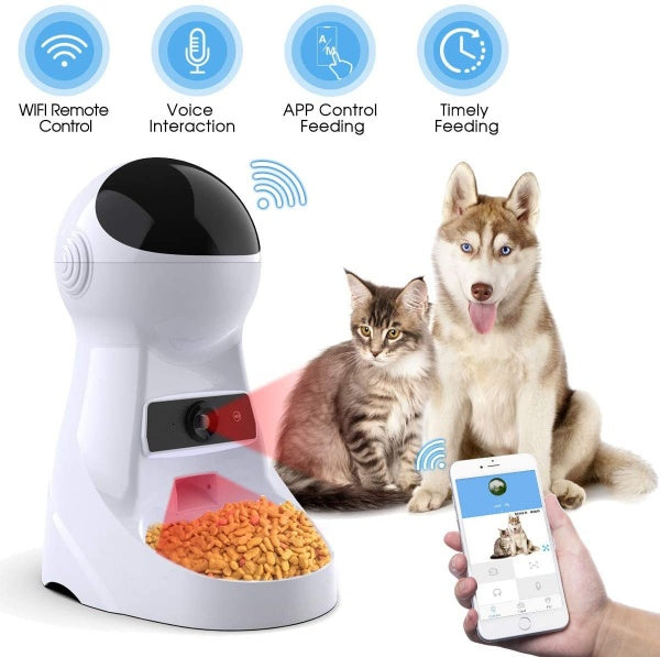 auto cat feeder