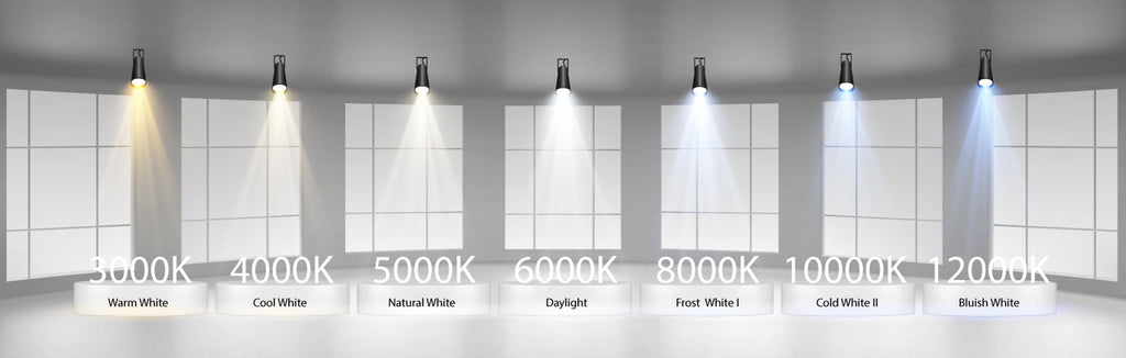 Light temperature warm white daylight cool white LED light signs in various colors