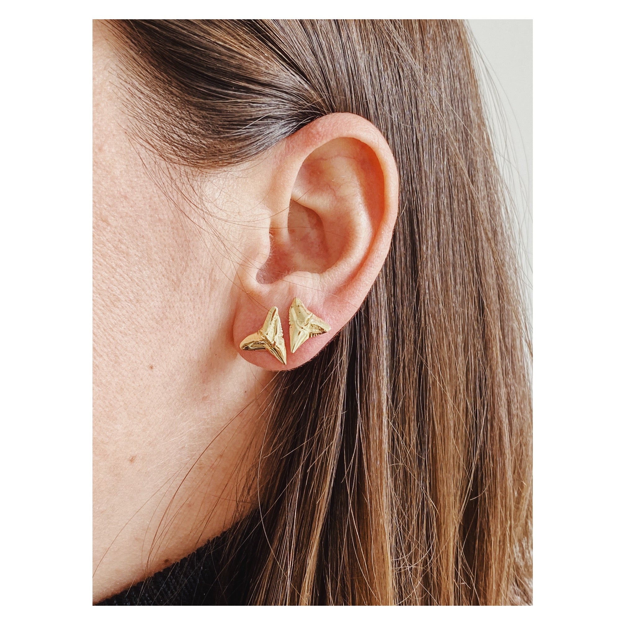 Bull Shark Earrings, 14k