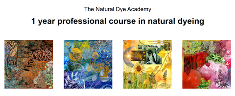 The natural dye Academy