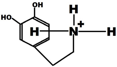 Hydrogen and quantum tunneling