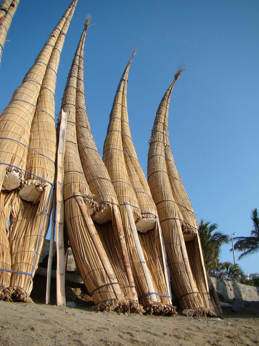 Classy Peru Totora