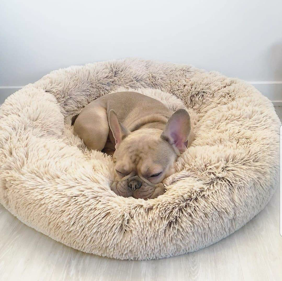 calming pet bed