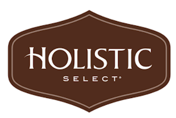 Holistic logo