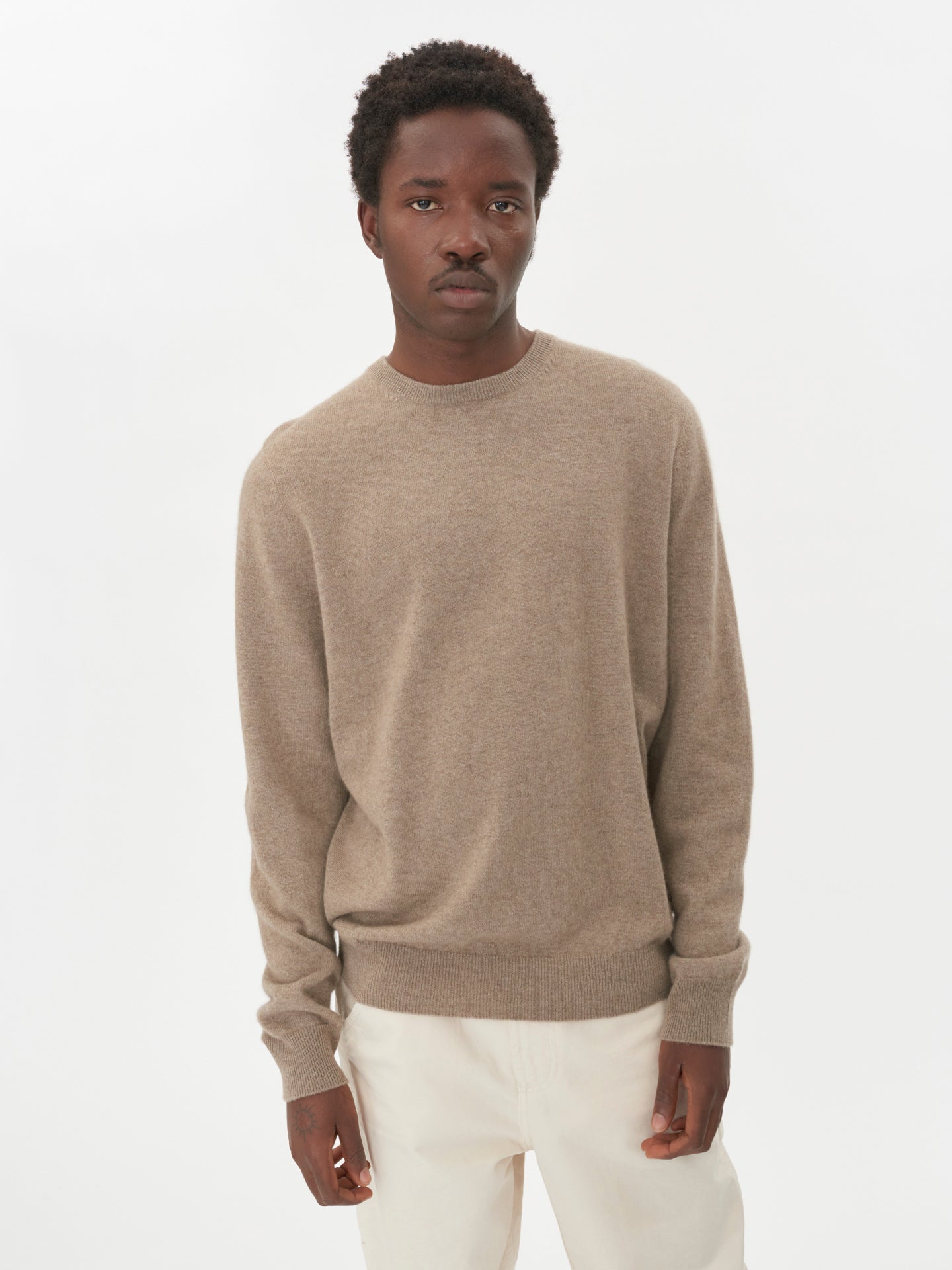 Organic Cashmere Colour Basic Crew Neck Sweater