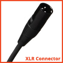 XLR Male Connector