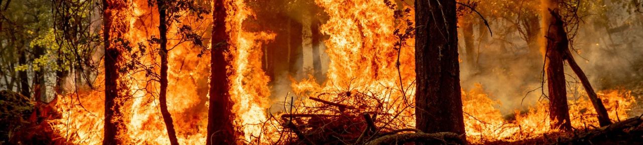 Image of a wildfire