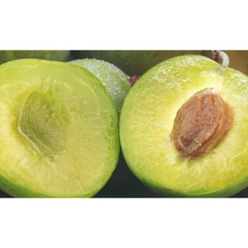 kakadu plum is used in skin care