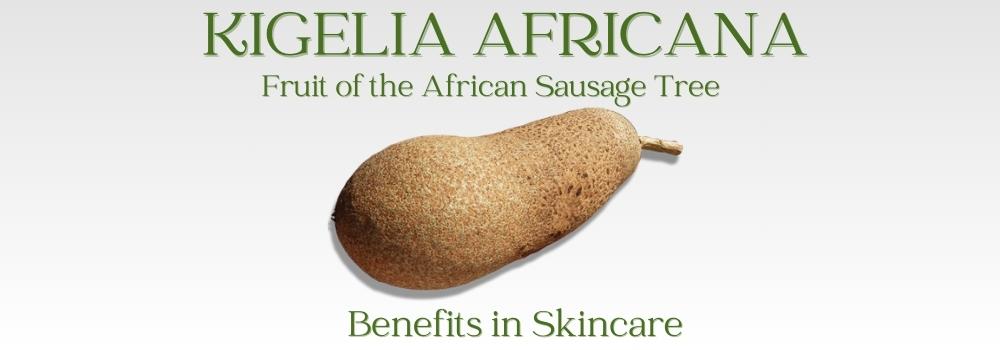 The magical properties of the African Sausage Tree Kigelia Africana –  Lombardi Smith