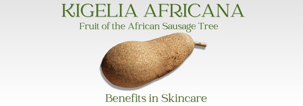 kigelia africana is used in skin care