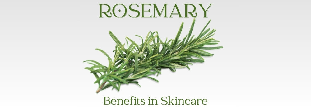 rosemary in skin care