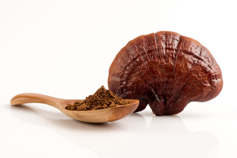 Reishi for blood cleansing