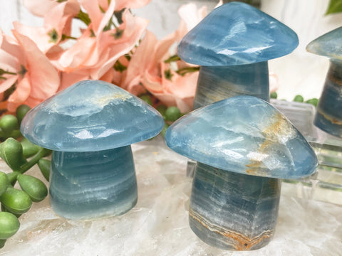 mushroom crystals
