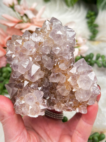 cactus quartz