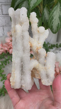 Load image into Gallery: Contempo Crystals - white-quartz-stalactite-crystals - Image 4