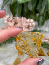 Load image into Gallery: Contempo Crystals - Colombian Amber with Bugs - Image 14